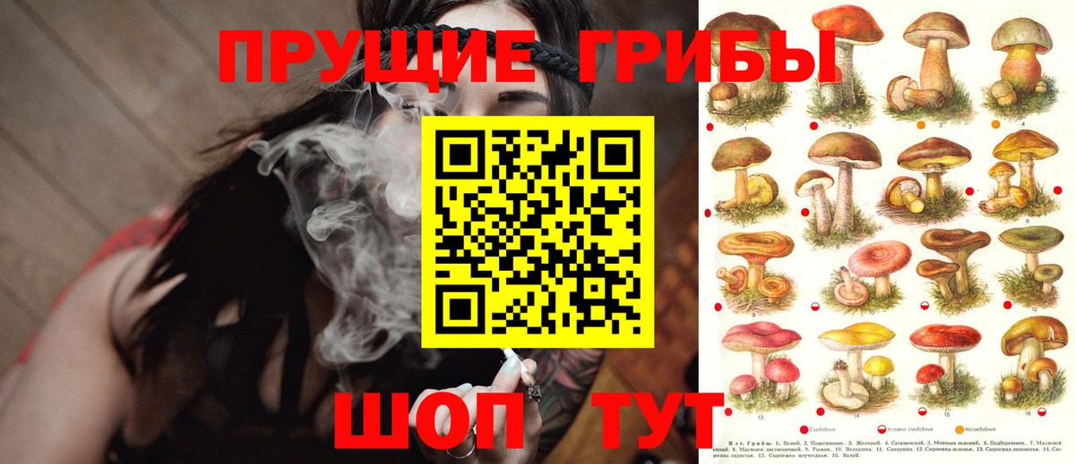 Острогожск  Галлюциногенные грибы MAGIC MUSHROOMS  закладки  Вход с VPN 