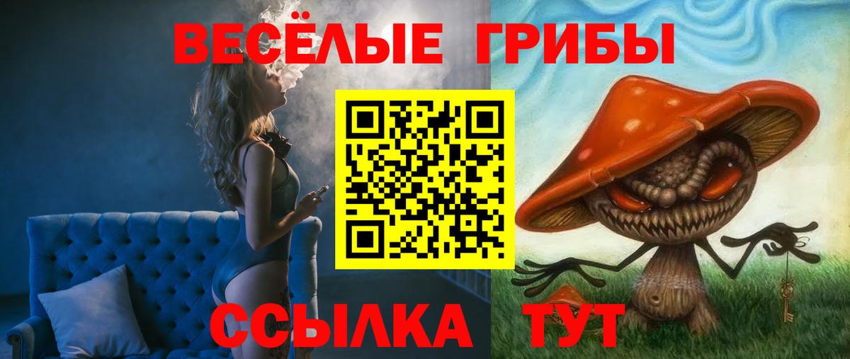 Псилоцибиновые грибы Psilocybe Острогожск